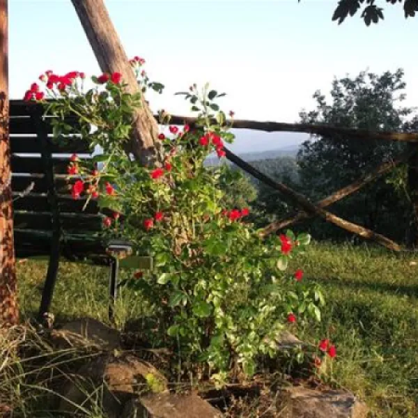 camping-falterona-stia-yogxv