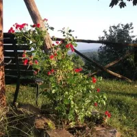 camping-falterona-stia-yogxv