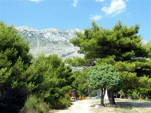 camping-dole-zivogosce-bu51z