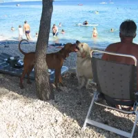 camping-dole-zivogosce-k8vbj