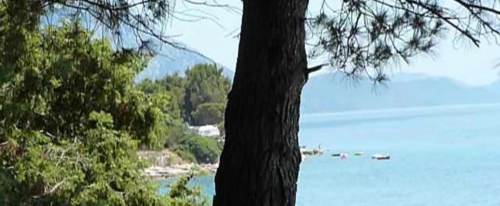 Camping Dole