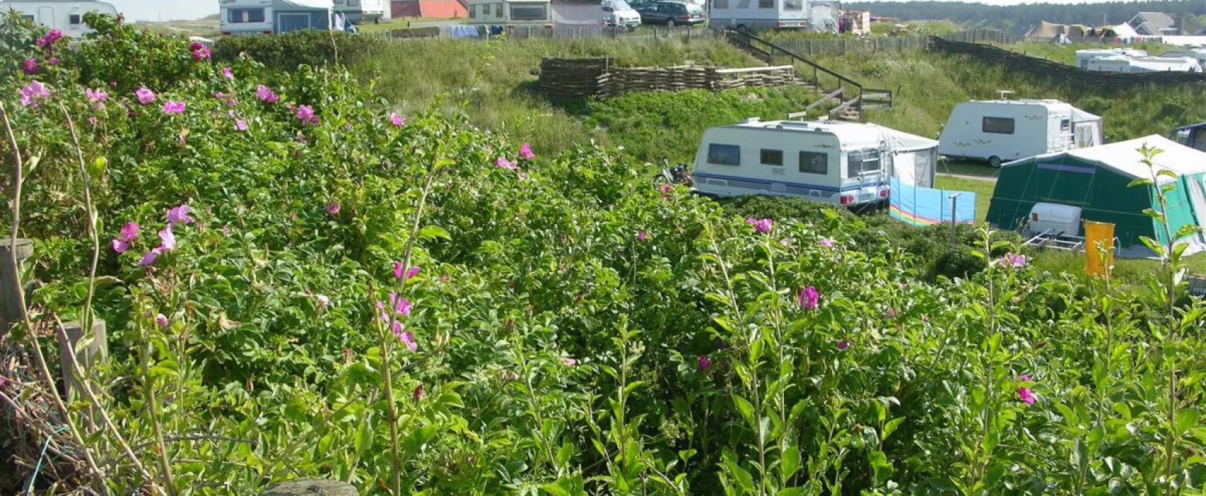 Camping Corfwater