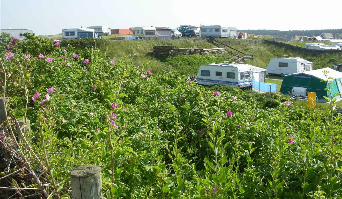 camping-corfwater-petten-psjde