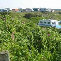 camping-corfwater-petten-psjde