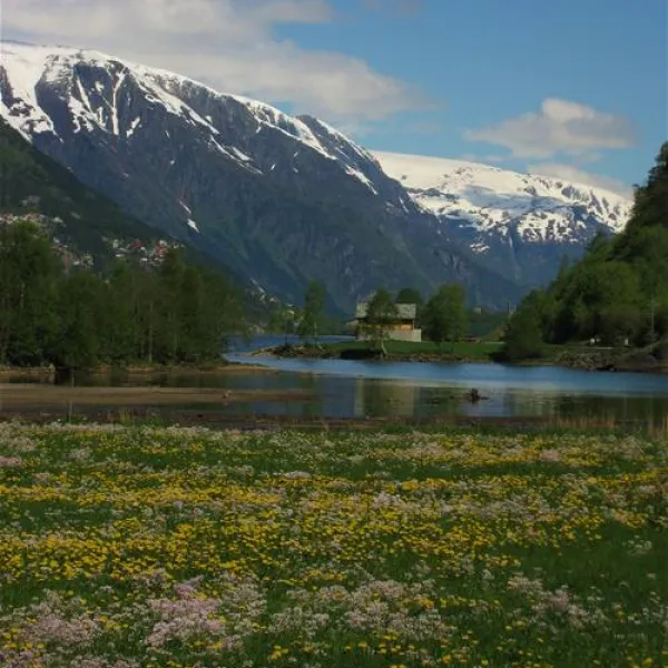 odda-camping-odda-c704a