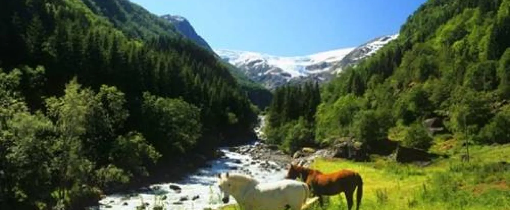 Odda Camping