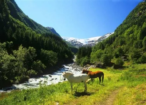 odda-camping-odda-d2yd5