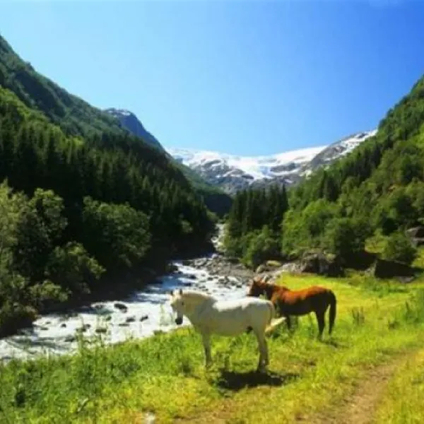 odda-camping-odda-d2yd5