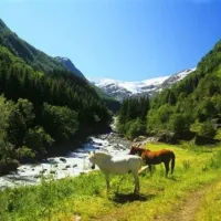 odda-camping-odda-d2yd5