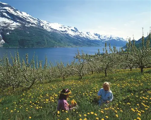 odda-camping-odda-vgvcc