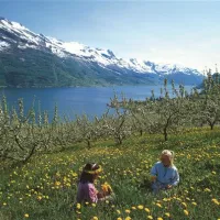 odda-camping-odda-vgvcc