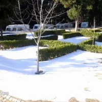 parque-de-campismo-municipal-de-vouzela-vouzela-orsyo