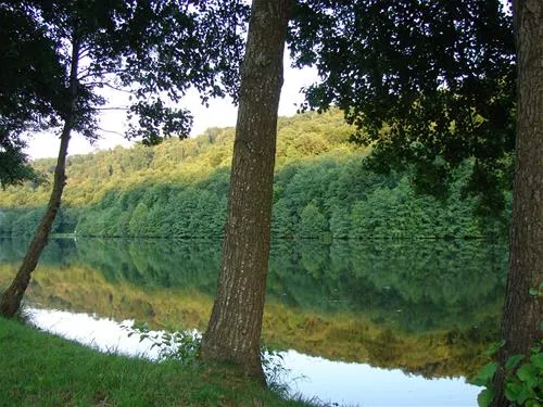 camping-de-villey-le-sec-villey-le-sec-g61iq