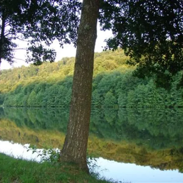 camping-de-villey-le-sec-villey-le-sec-g61iq
