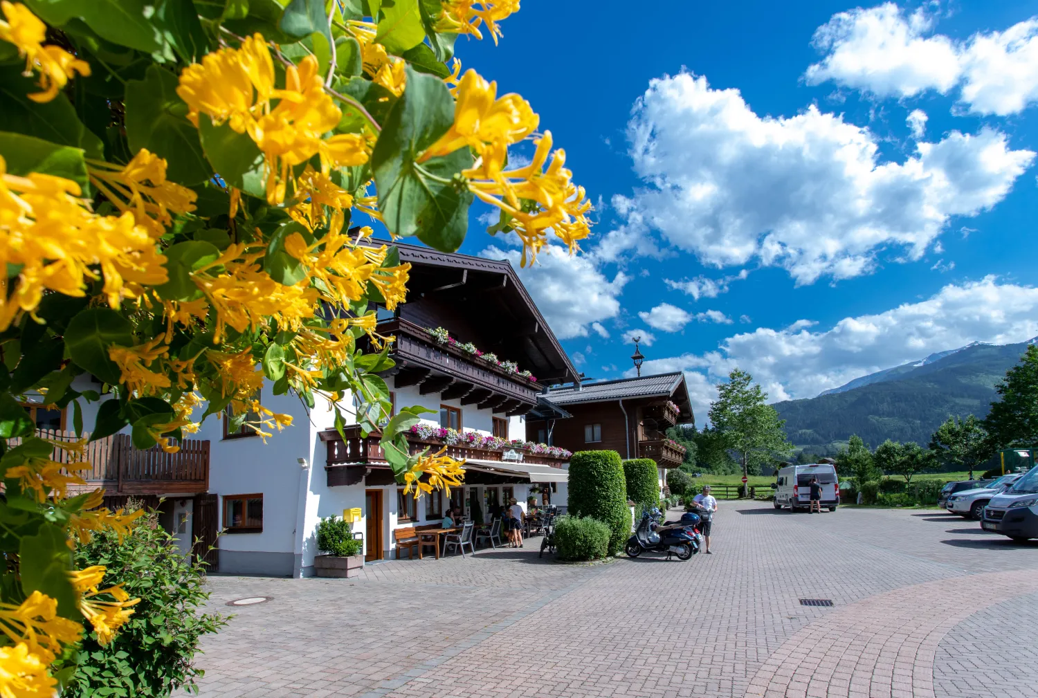 panorama-camp-zell-am-see-zell-am-see-i7aoy