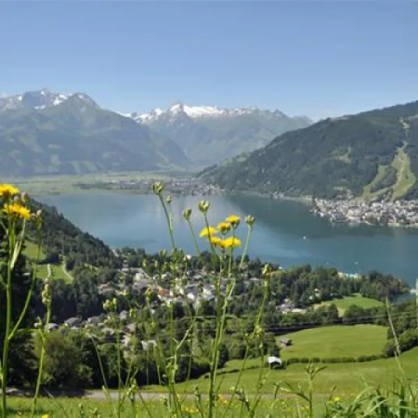 panorama-camp-zell-am-see-zell-am-see-wnziy