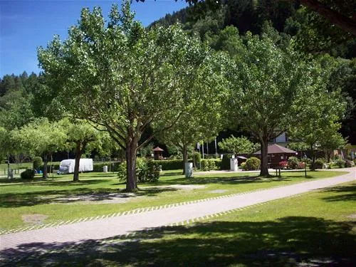 panorama-camp-zell-am-see-zell-am-see-ypayg