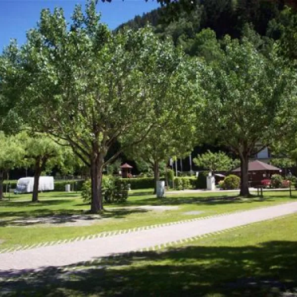 panorama-camp-zell-am-see-zell-am-see-ypayg