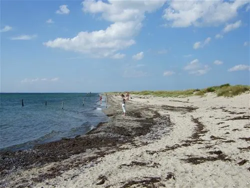 albuen-strand-camping-nakskov-1leqe