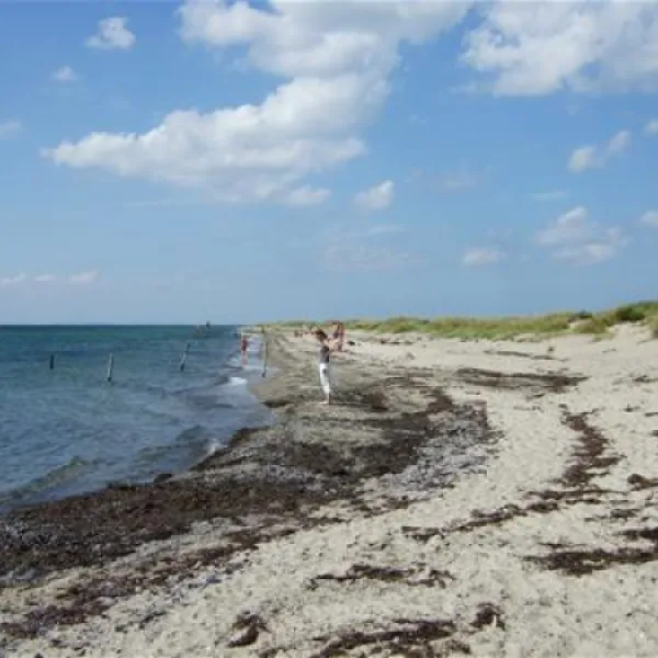 albuen-strand-camping-nakskov-1leqe