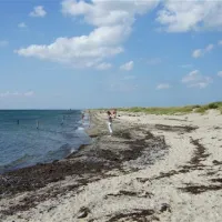 albuen-strand-camping-nakskov-1leqe
