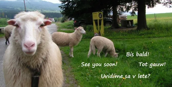 camping-sedliacky-dvor--het-boerenhof-breznorohozn-3swuf