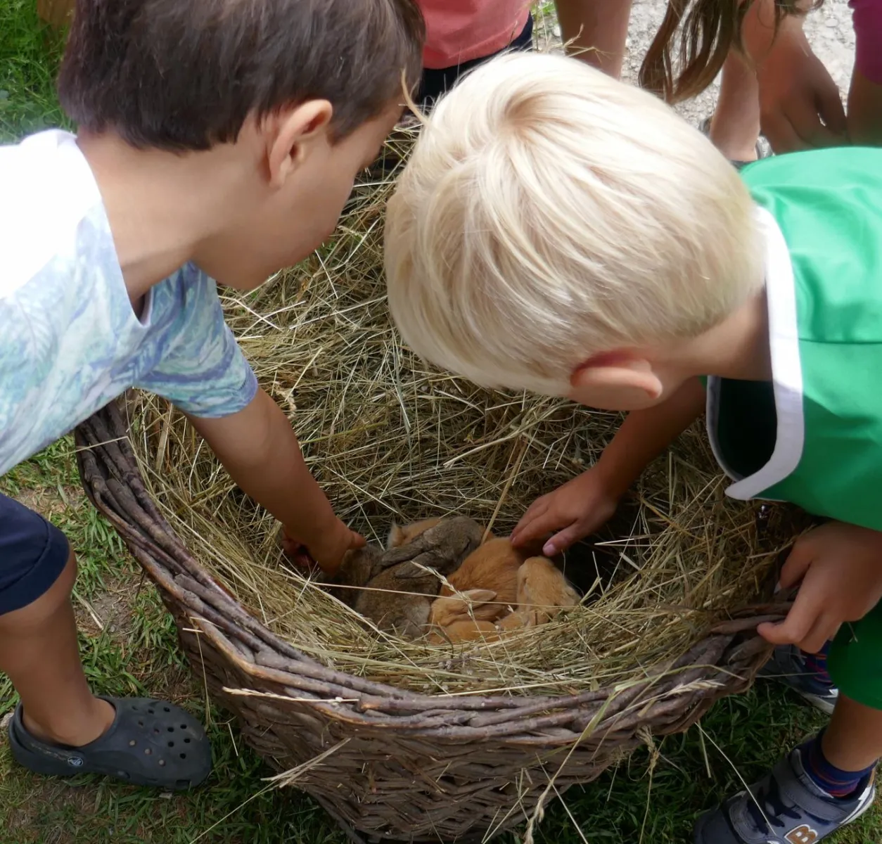 camping-sedliacky-dvor--het-boerenhof-breznorohozn-5ykq4