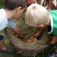 camping-sedliacky-dvor--het-boerenhof-breznorohozn-5ykq4