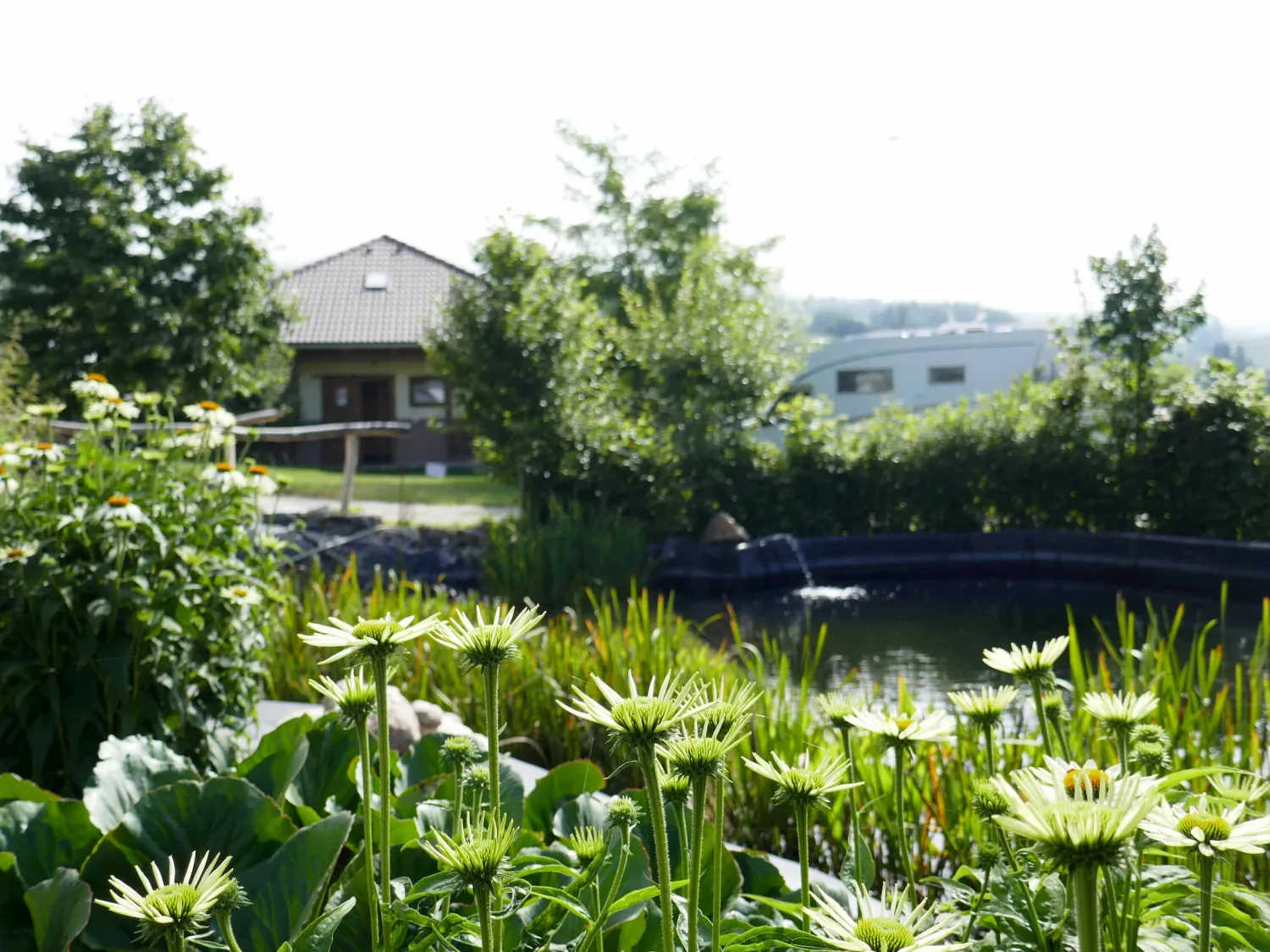 camping-sedliacky-dvor--het-boerenhof-breznorohozn-9m3jo
