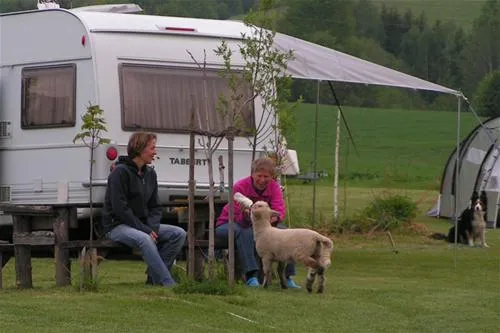camping-sedliacky-dvor--het-boerenhof-breznorohozn-l1gjs