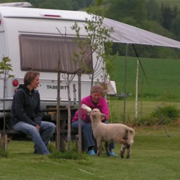 Camping Sedliacky Dvor
