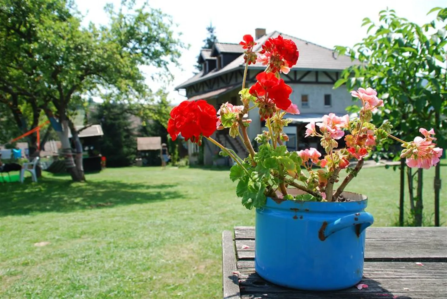 camping-sedliacky-dvor--het-boerenhof-breznorohozn-nxusk