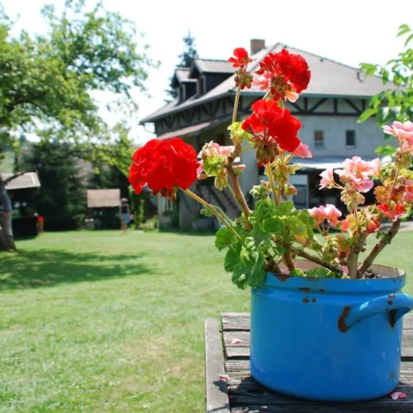 camping-sedliacky-dvor--het-boerenhof-breznorohozn-nxusk