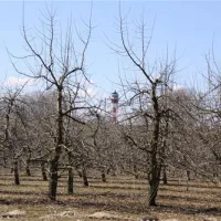 camping-am-leuchtturm-drochtersenkrautsand-vvebv