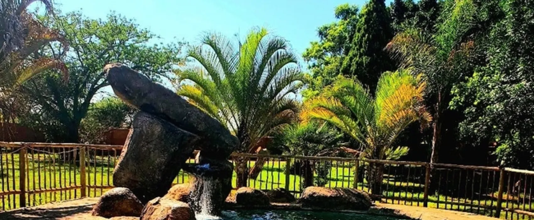 Limpopo Lodge