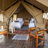 kingly-explorer-camp-balule-nature-reserve-valley-of-the-olifants-1hurx