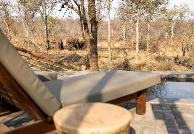 kingly-explorer-camp-balule-nature-reserve-valley-of-the-olifants-gyywf
