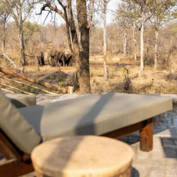 kingly-explorer-camp-balule-nature-reserve-valley-of-the-olifants-gyywf