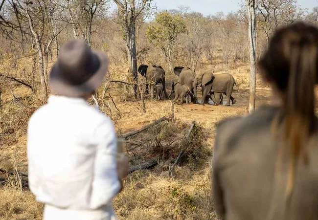 kingly-explorer-camp-balule-nature-reserve-valley-of-the-olifants-lexfi