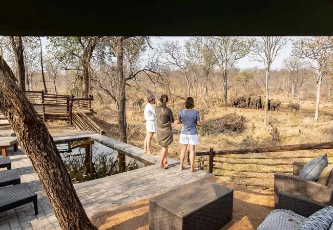 kingly-explorer-camp-balule-nature-reserve-valley-of-the-olifants-sqro0
