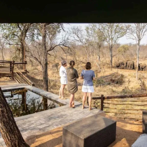 kingly-explorer-camp-balule-nature-reserve-valley-of-the-olifants-sqro0