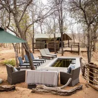 kingly-explorer-camp-balule-nature-reserve-valley-of-the-olifants-wkg52