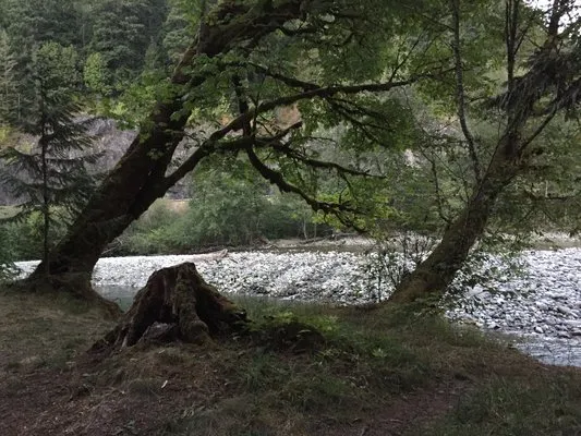 money-creek-campground-skykomish-ewmv9