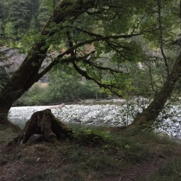 money-creek-campground-skykomish-ewmv9