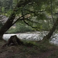 money-creek-campground-skykomish-ewmv9