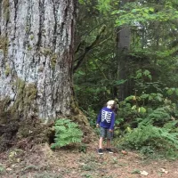 money-creek-campground-skykomish-hzxj1