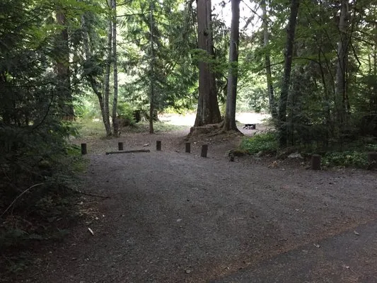 money-creek-campground-skykomish-iyhyf