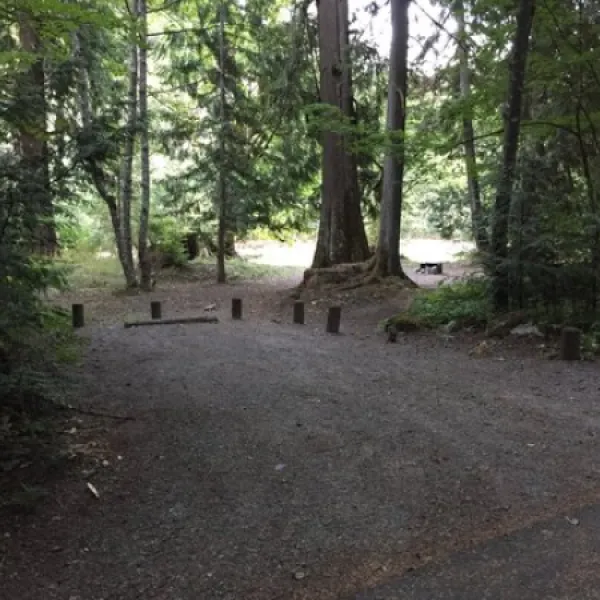 Money Creek Campground