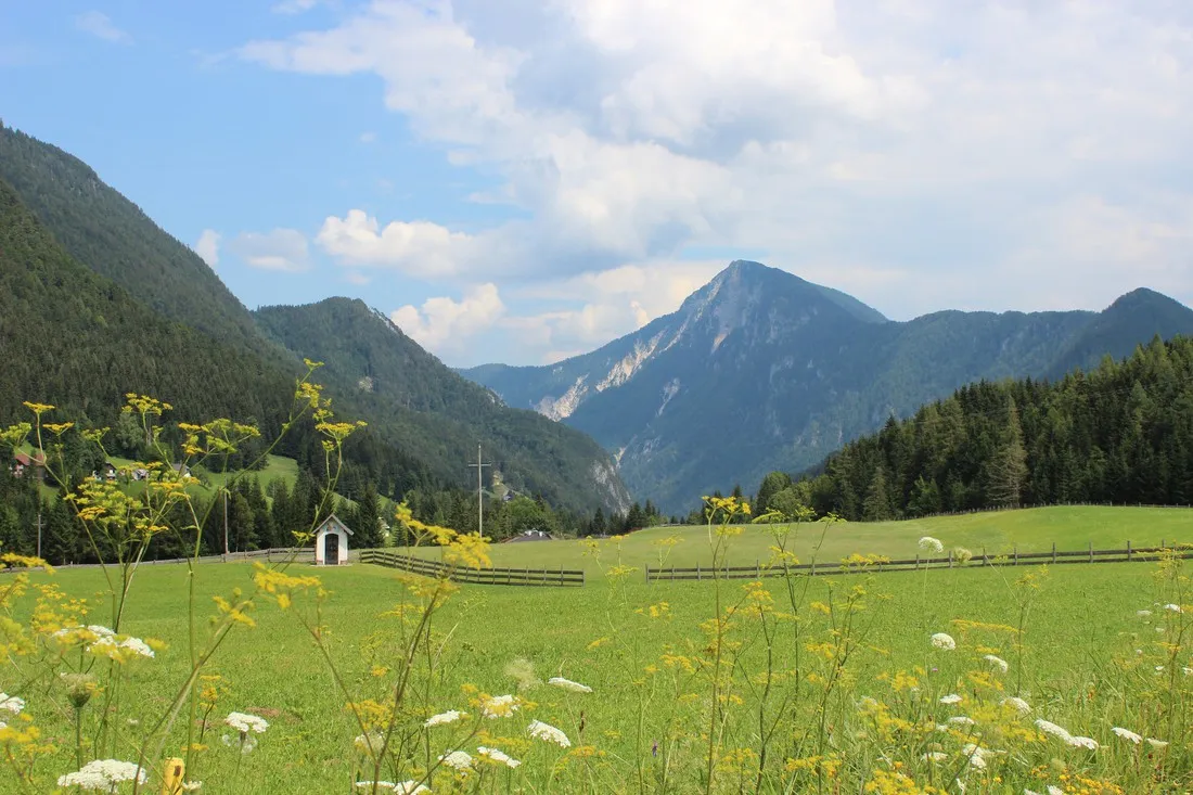 rosental-roz-st-margareten-vl8lj