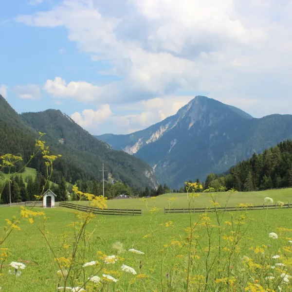 rosental-roz-st-margareten-vl8lj